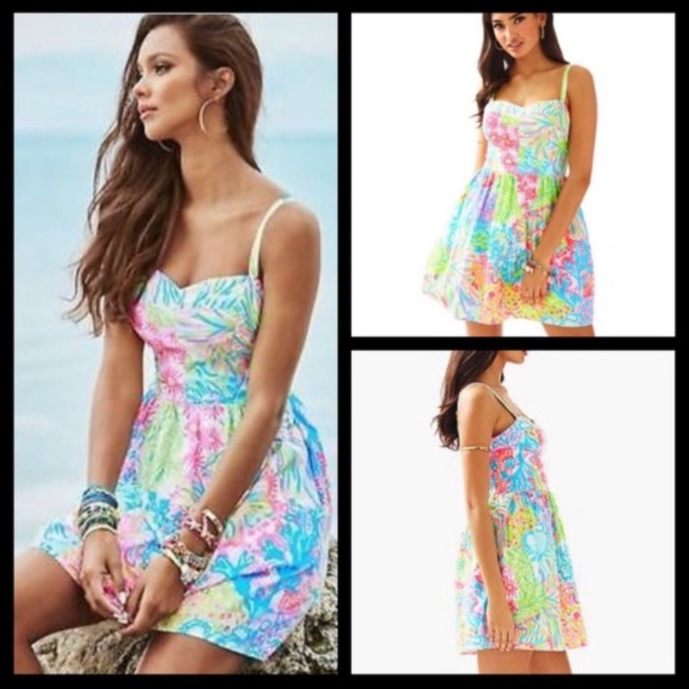 Classic Lily Pulitzer Ardleigh Sun Dress Size 2